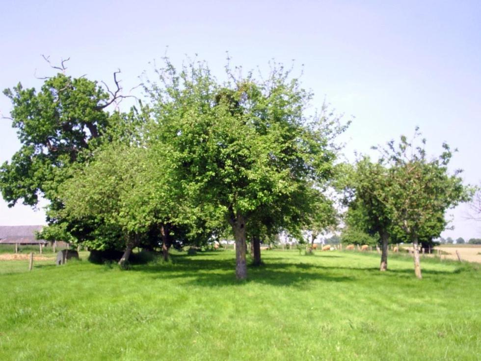 Chambres D'Hote Honey Orchard Farm Vessey Екстер'єр фото