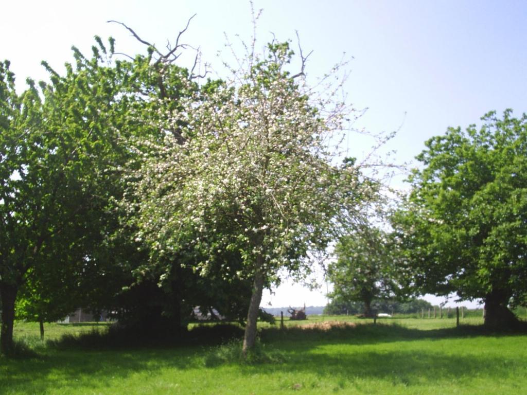 Chambres D'Hote Honey Orchard Farm Vessey Екстер'єр фото
