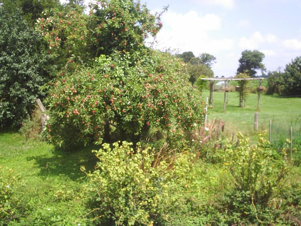 Chambres D'Hote Honey Orchard Farm Vessey Екстер'єр фото